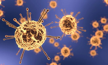 Коронавирус в Ленобласти: за последние сутки выявлено 428 новых случаев